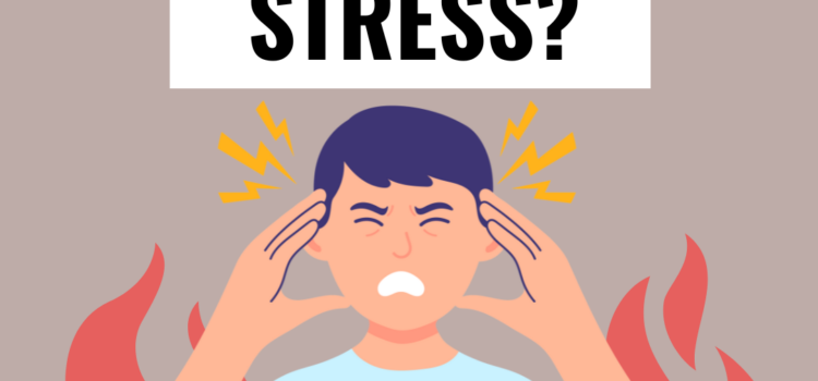 Valentijnstress? – Zo steel je moeiteloos haar hart