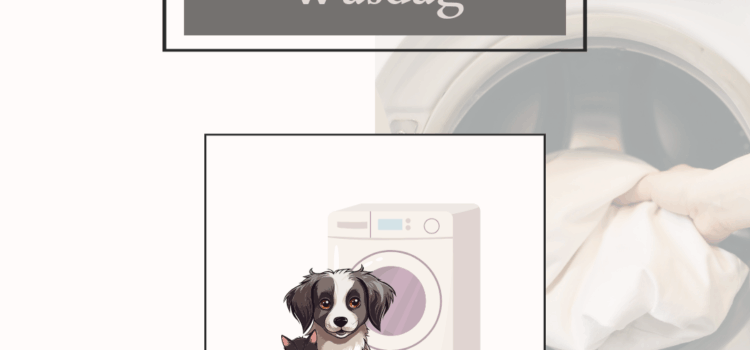 Woensdag Wasdag: Zo krijg je huisdierharen uit je kleding (en houd je ze weg!)